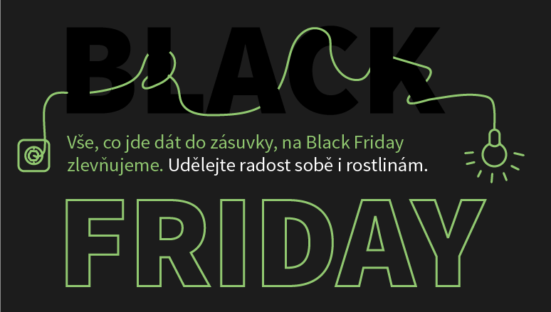 black_friday