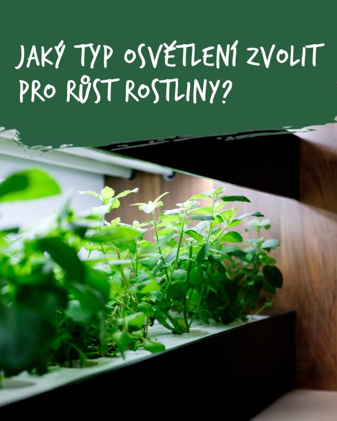 Světlo je pro vaše rostliny životně důležité – pokud ho nemají dostatek, začnou strádat. 🌱 Nezapomeňte proto během...