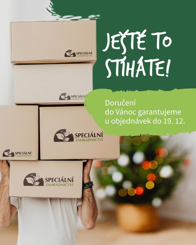 Mějte jistotu, že vám vánoční dárky dorazí včas! 🎁🌟 Doručení do Vánoc garantujeme u objednávek do 19. 12....