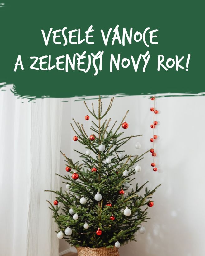 Přejeme vám kouzelné svátky plné pohody, radosti a spousty krásně zazelenělých chvil! 💚 PS: Pokud ještě pořád nemáte...