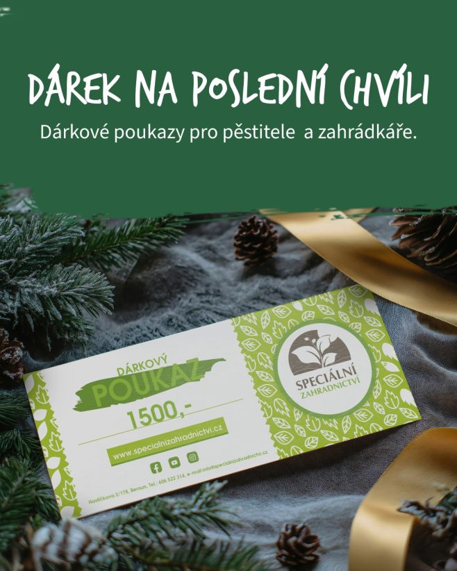 Nemáte ještě všechny dárky? 🎄🎁 Pokud už vám dochází čas a nechcete se tlačit v přeplněných obchodech, máme pro vás rychlé...