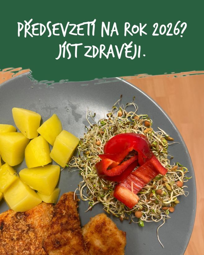 Téměř třetina Čechů, kteří si dávají novoroční předsevzetí, uvádí jako jeden ze svých cílů na nový rok zdravější...